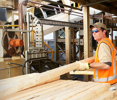 Image of timber pallets